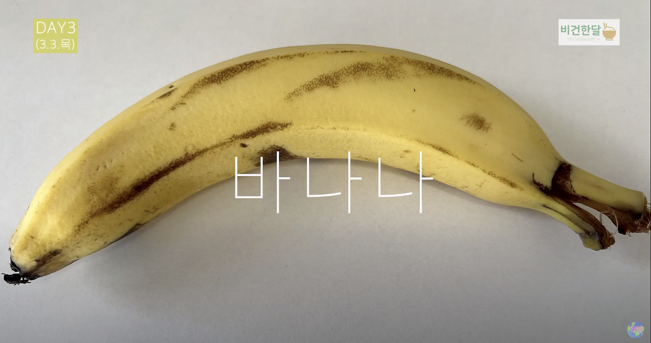 스크린샷 2022-03-06 오전 12.04.10.png