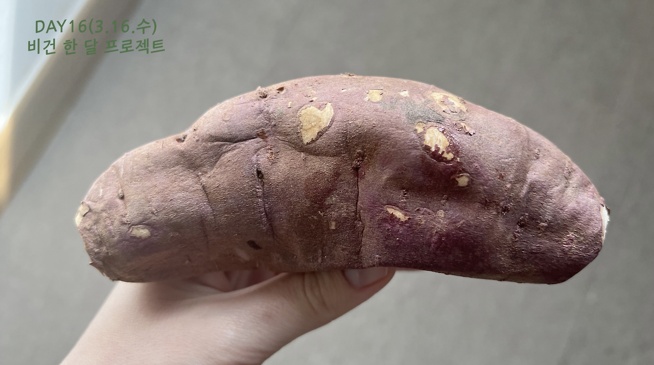 스크린샷 2022-03-20 오전 2.15.10.png