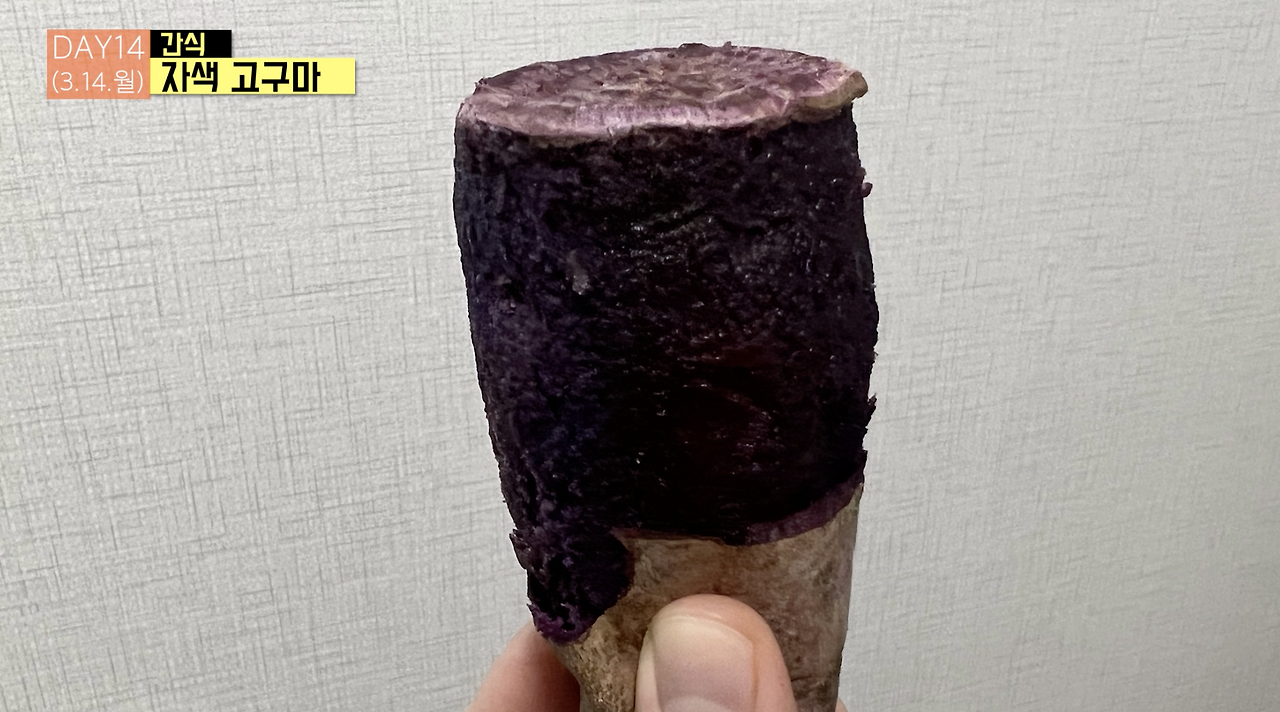 스크린샷 2022-03-16 오전 1.13.06.png