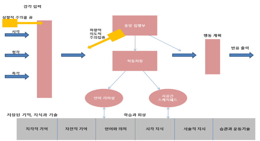 기능적 구조체계.png