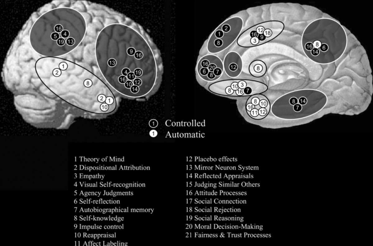 인지 신경과학 이슈.png