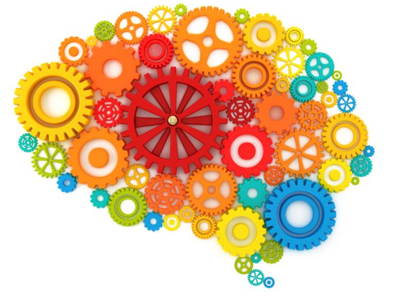 인간의뇌 글;ㅁ.png