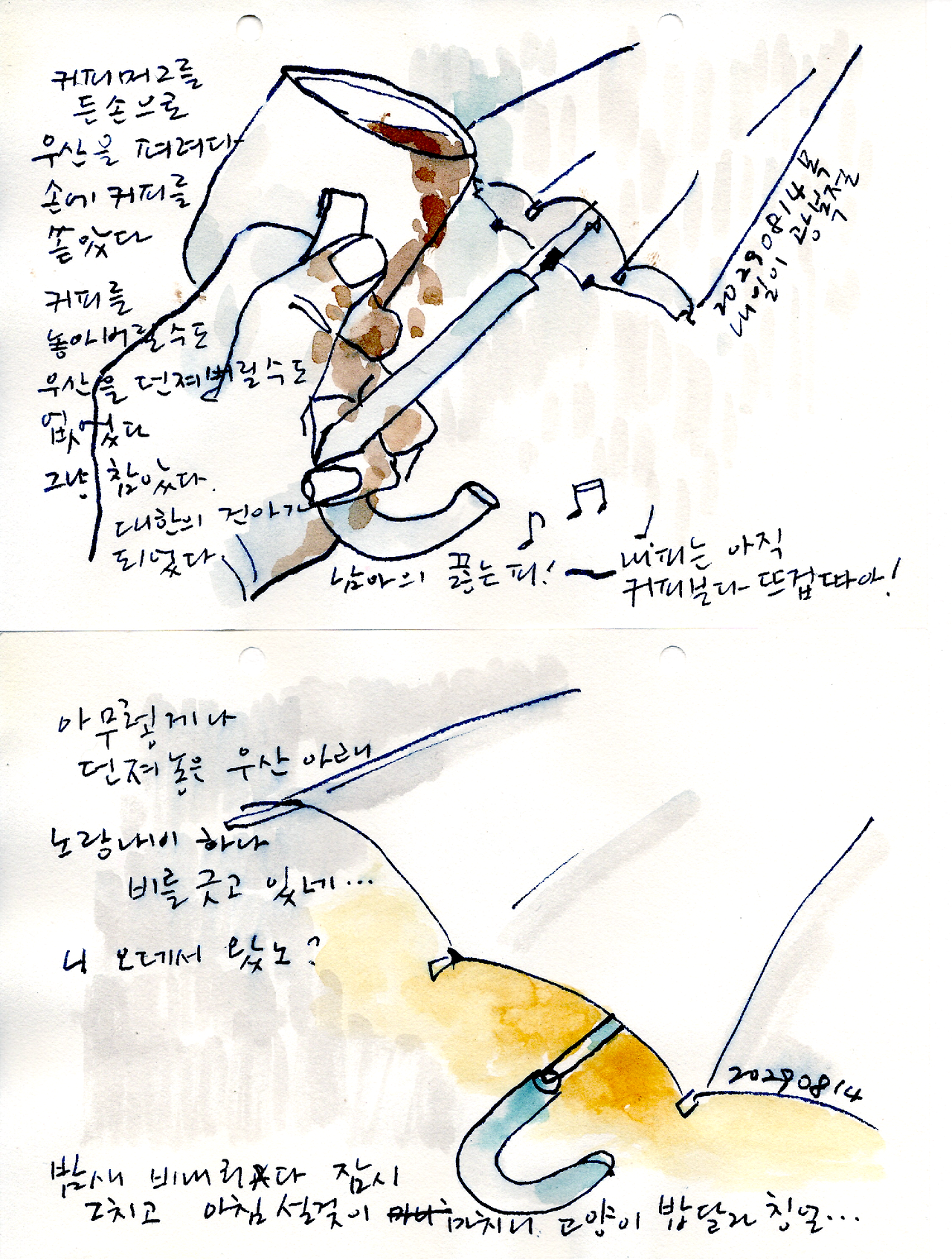 20250814_커피내피 나비.png