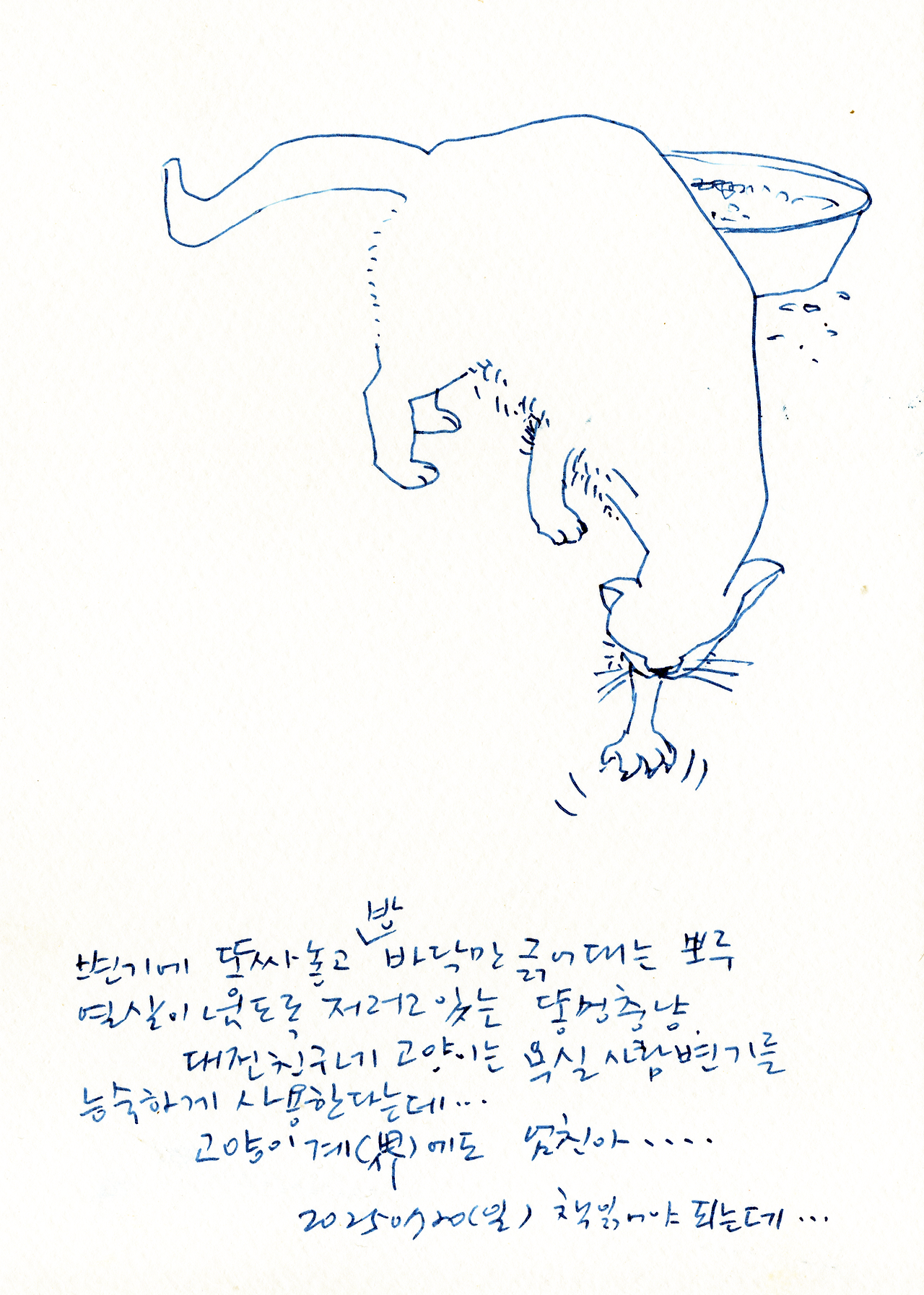 20250720엄친냥.png