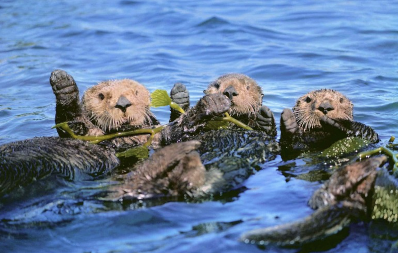 스크린샷 2023-11-16 오전 9.53.52.png