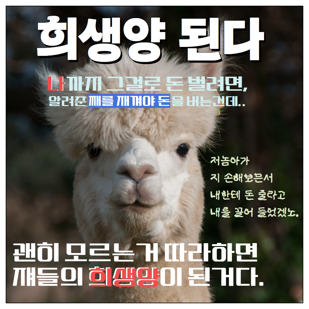 희생양 (3).png