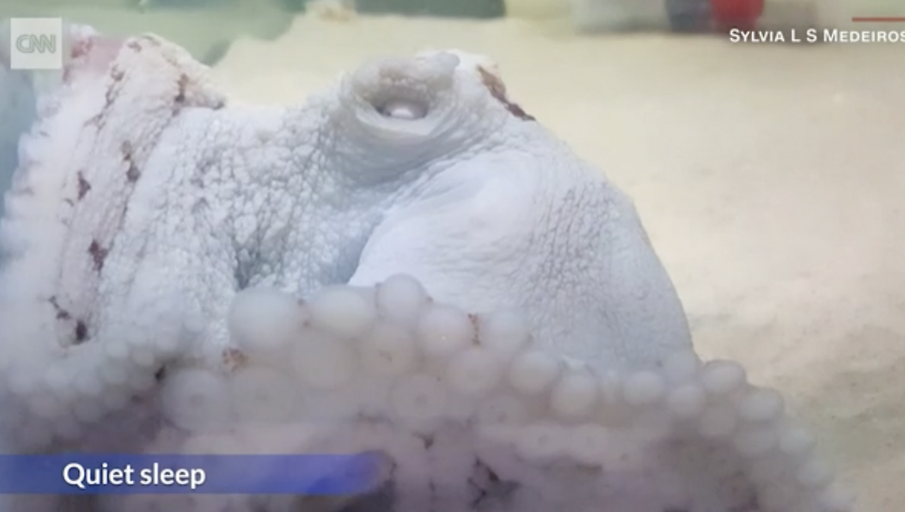 스크린샷 2021-04-19 11.23.44.png