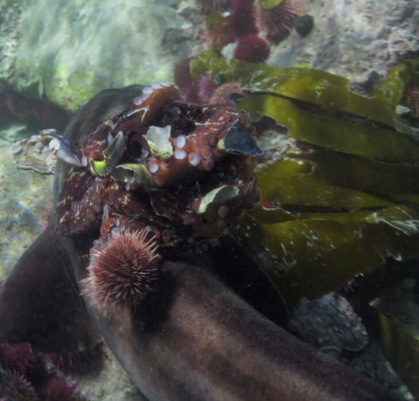 스크린샷 2021-04-19 11.01.27.png