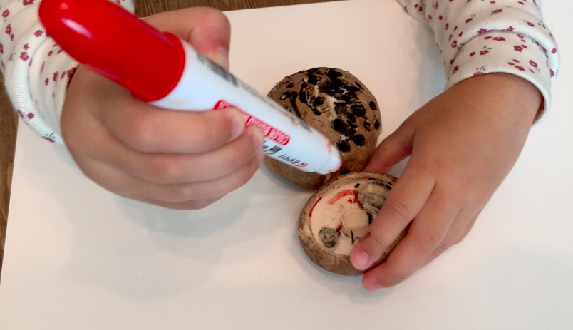 스크린샷 2019-10-28 오전 11.53.29.png