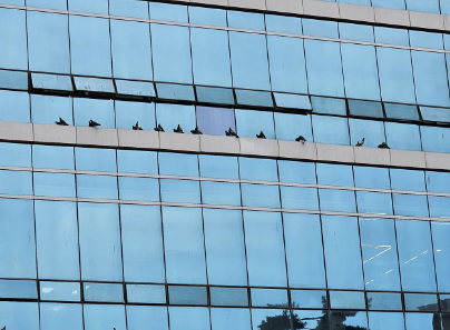 스크린샷 2025-01-03 092931.png