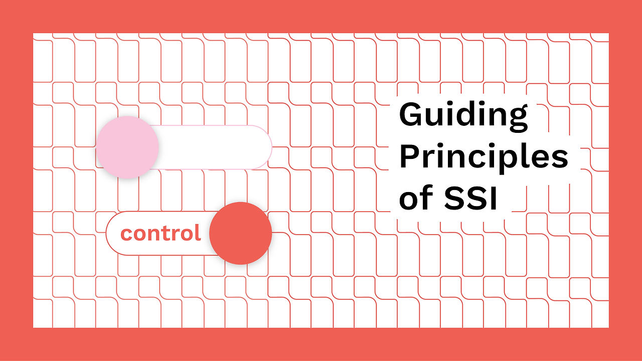 10 principles of ssi-08.png