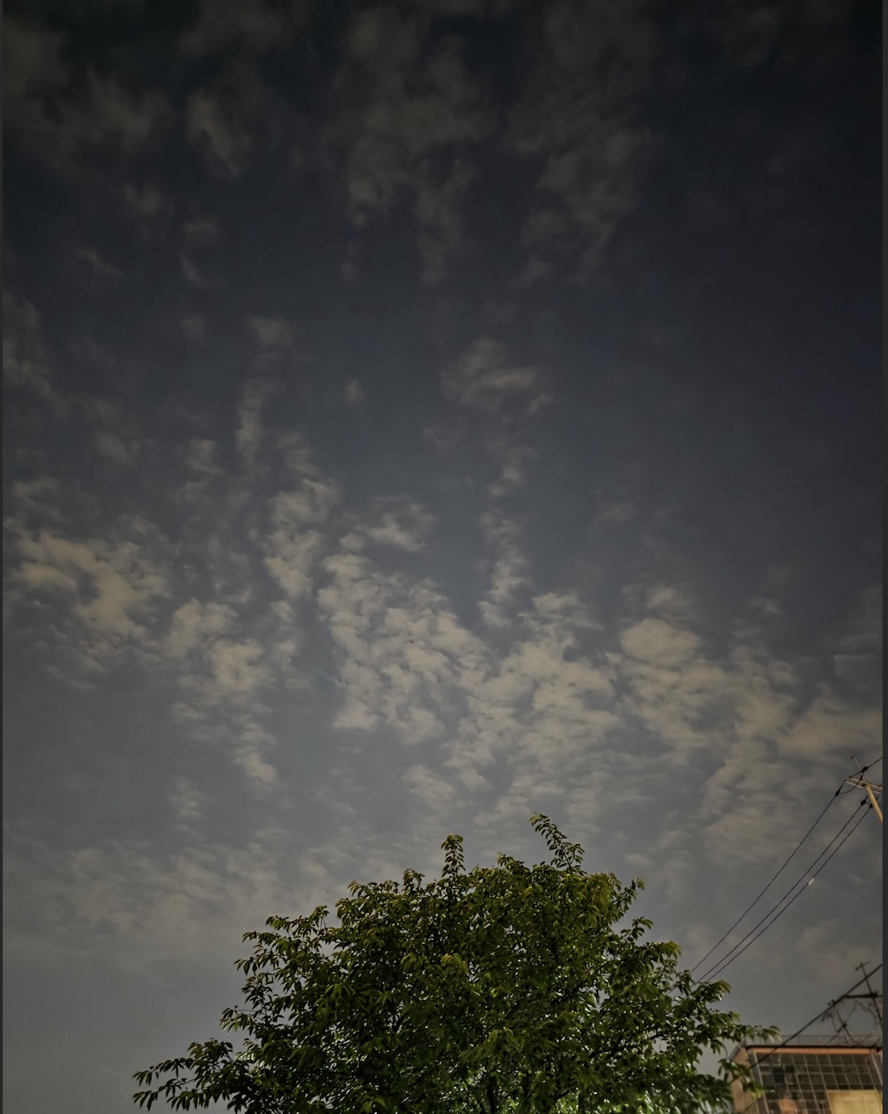 스크린샷 2025-05-27 오후 11.29.08.png