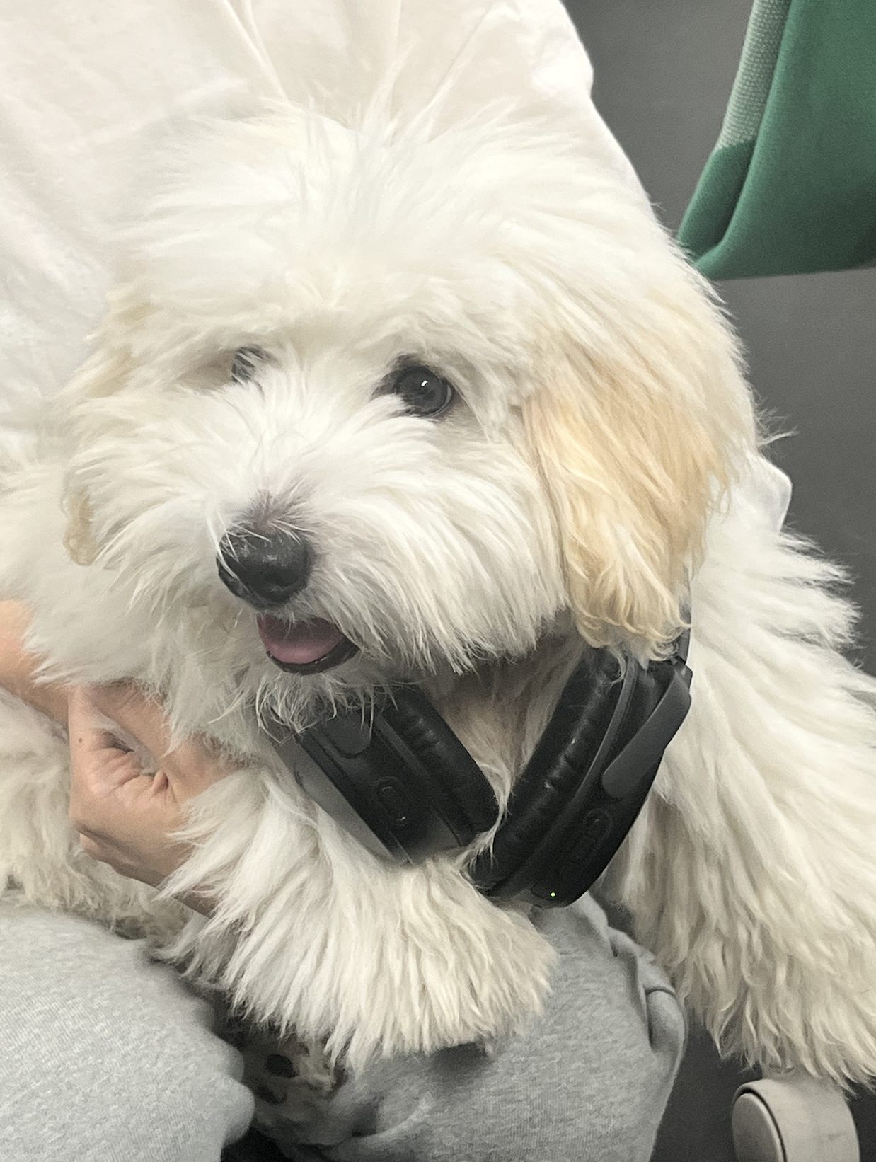 mail.worksmobile-7 오후 5.51.58.png