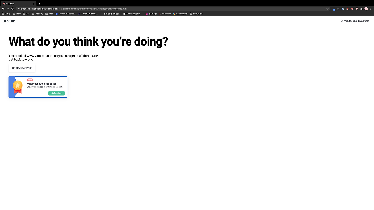 Screen Shot 2020-09-03 at 4.47.30 PM.png