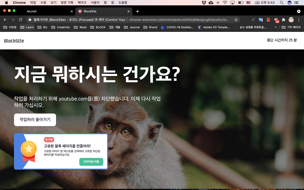 블록을 만드는데 힌트가 된 두권의 책, 원씽과 딥워크