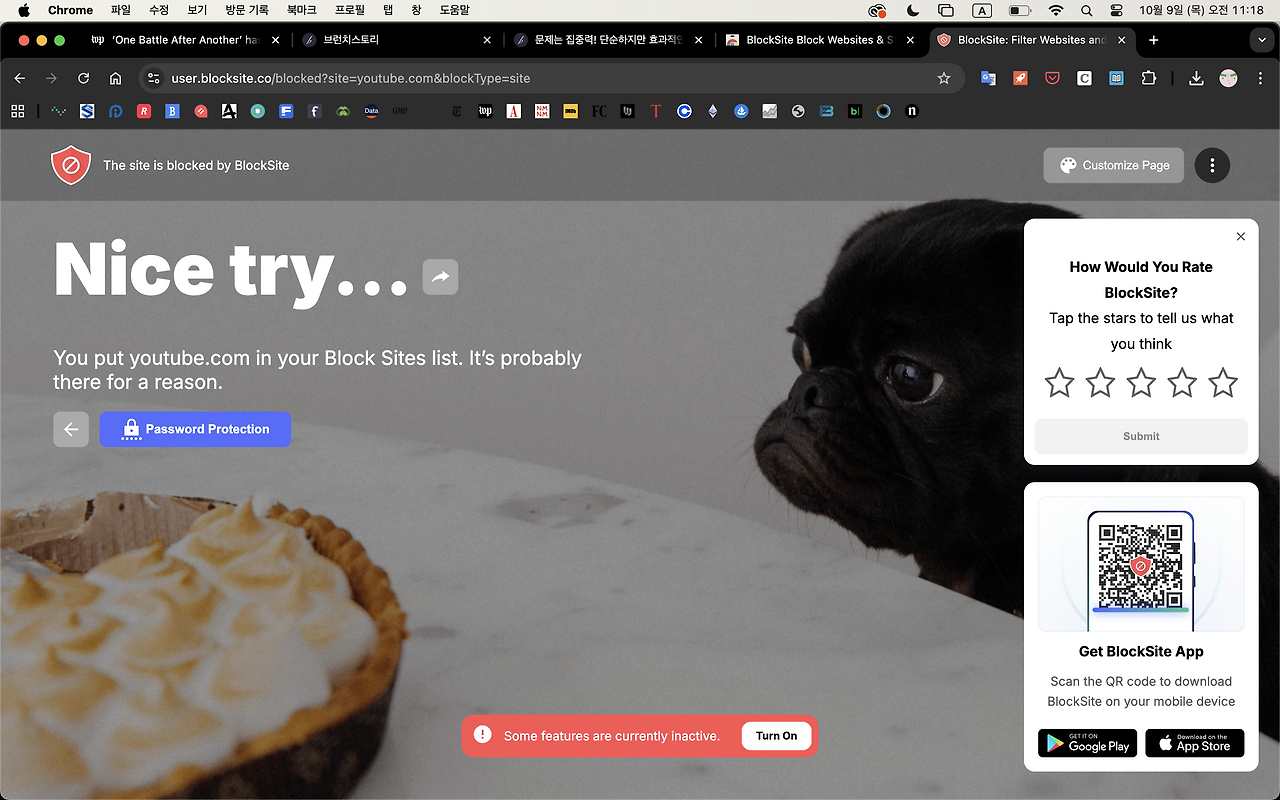 스크린샷 2025-10-09 오전 11.18.47.png