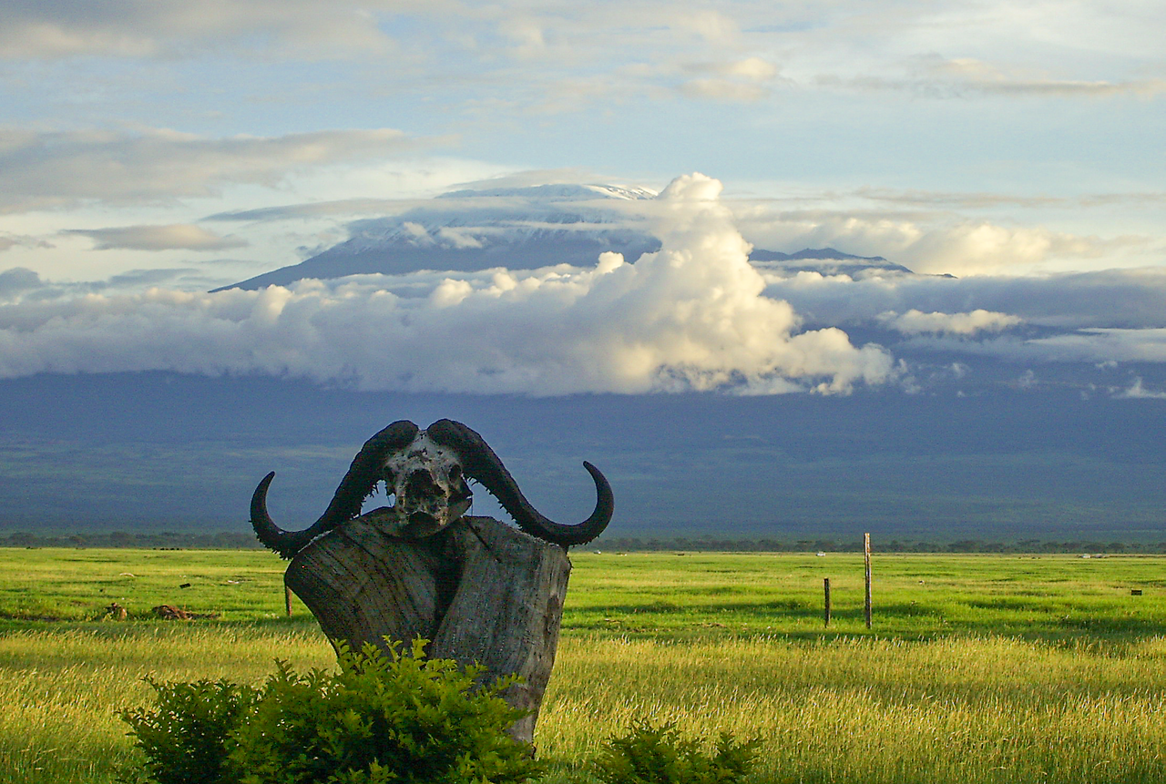 24_초원에서 바라 본 구름에 가린 킬리만자로_산 위의 날씨는 시시각각 변한다_바람 한 점 없는 고요함_자연의 품에서 인간은 순수를 찾는다.png