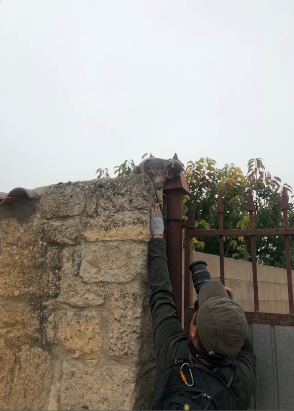 4e2687c2629c3 (1).png