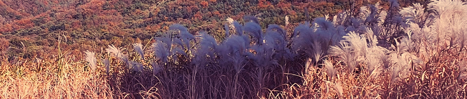 스크린샷 2020-11-07 오전 6.36.46.png