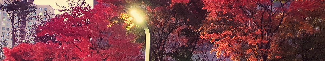 스크린샷 2020-11-07 오전 6.20.32.png