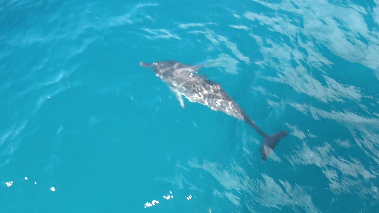 MAH00244.MP4 - 00.00.37.203.png