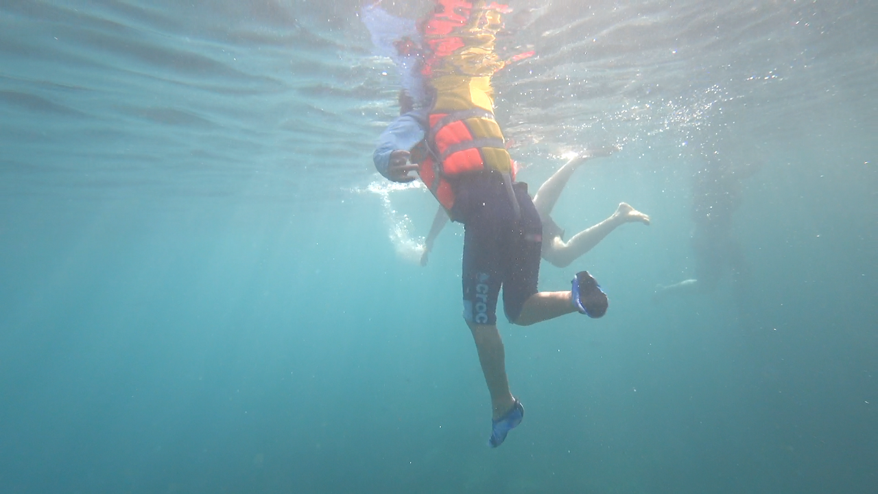 MAH00270.MP4 - 00.00.03.787.png