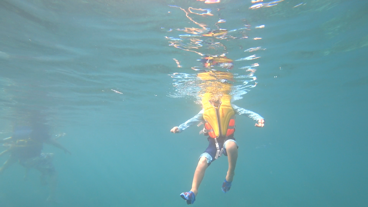 MAH00268.MP4 - 00.00.01.101.png