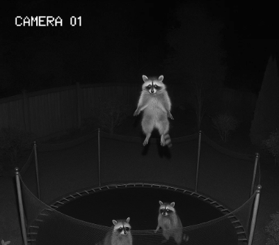 스크린샷 2025-08-03 20.59.46.png