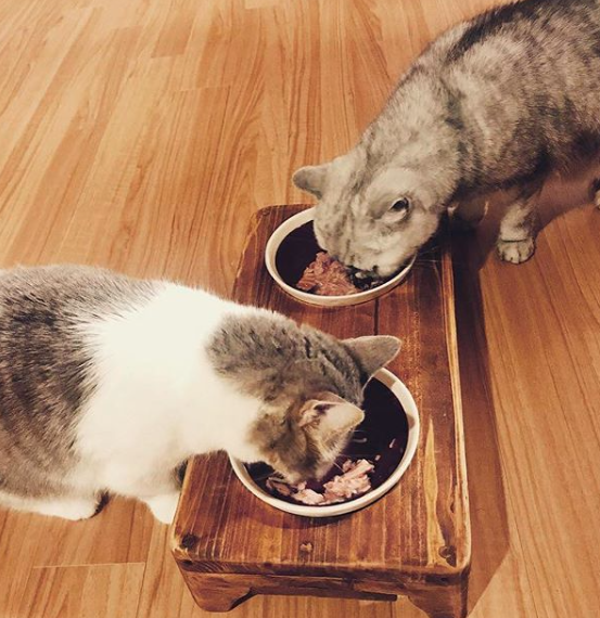 스크린샷 2018-10-05 오후 2.46.35.png