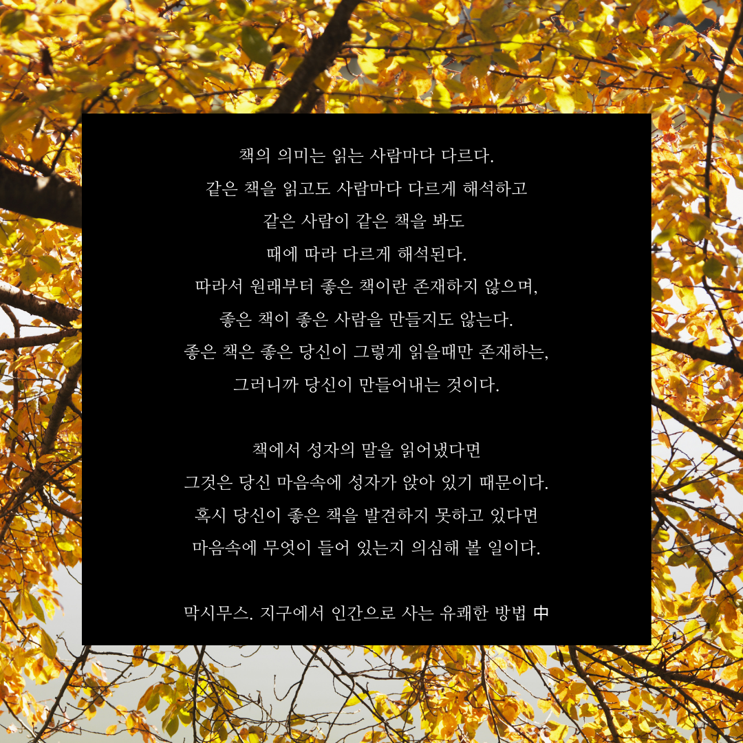 검은색 상자 잎사귀 막시무스 인용구 인스타그램 게시물.png
