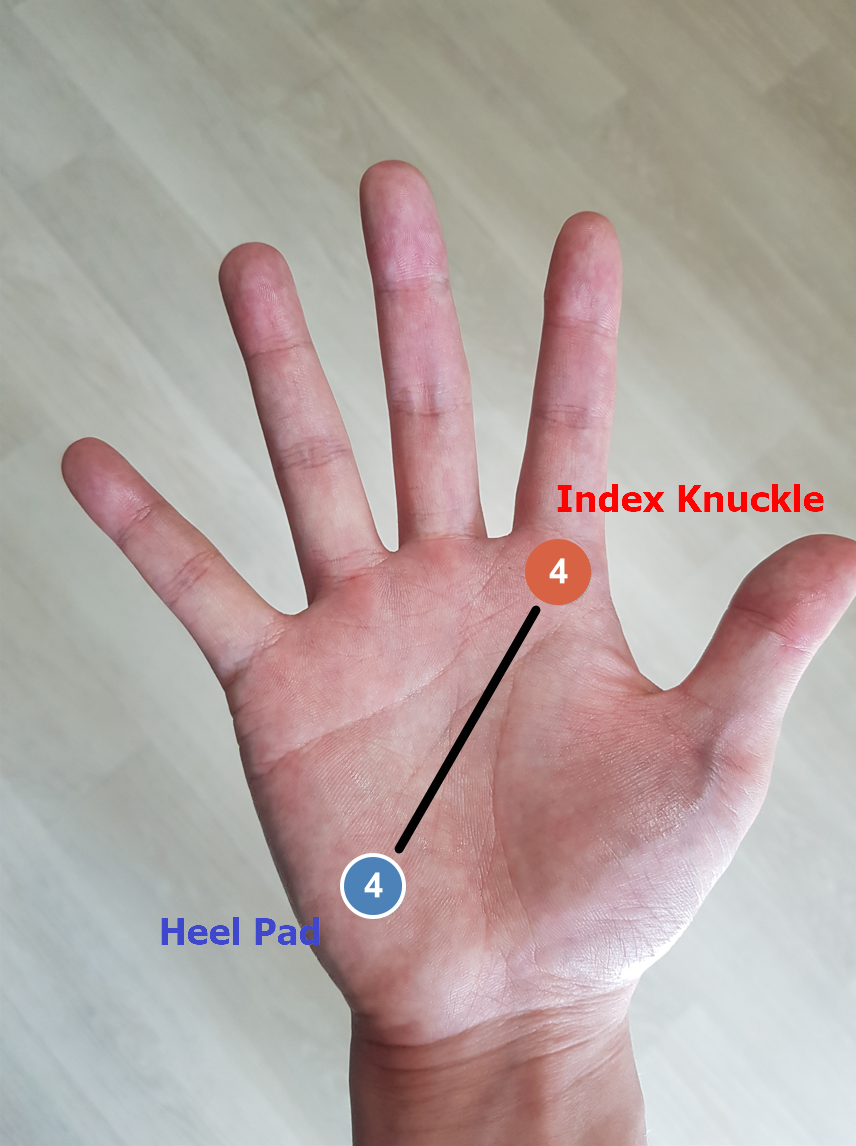 세미 웨스턴 그립.png