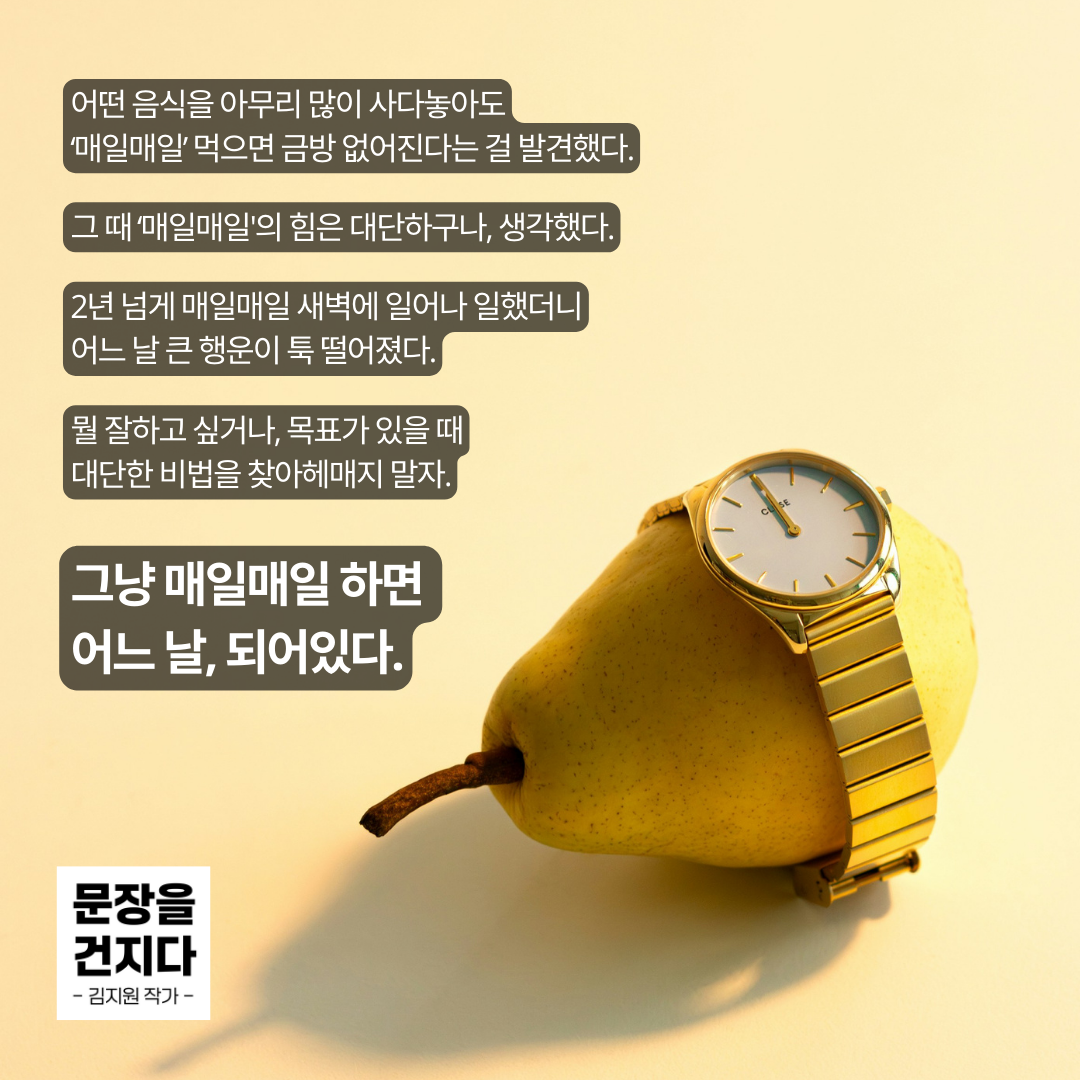 문장을 건지다.png