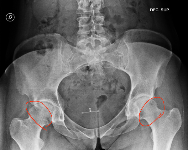 Screenshot 2024-12-19 at 5.04.44 PM.png