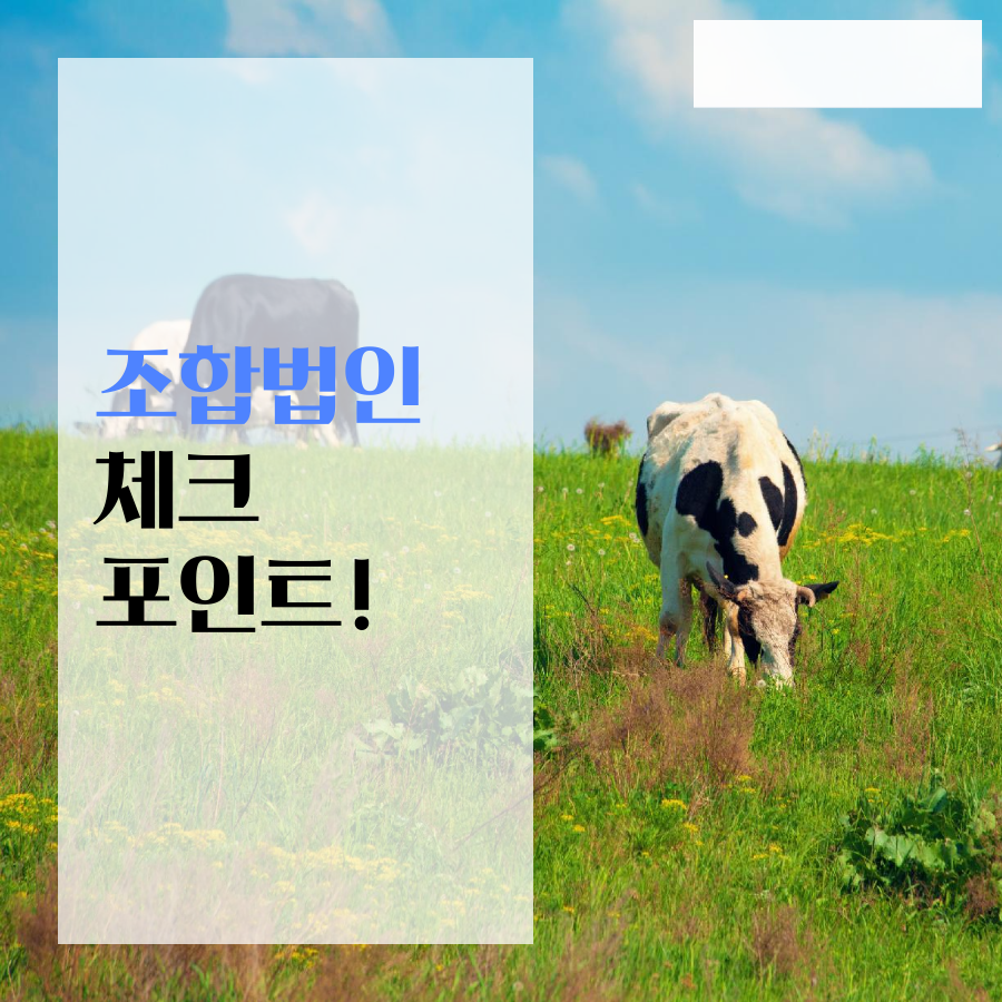 펀펀택스 배너들 (74).png