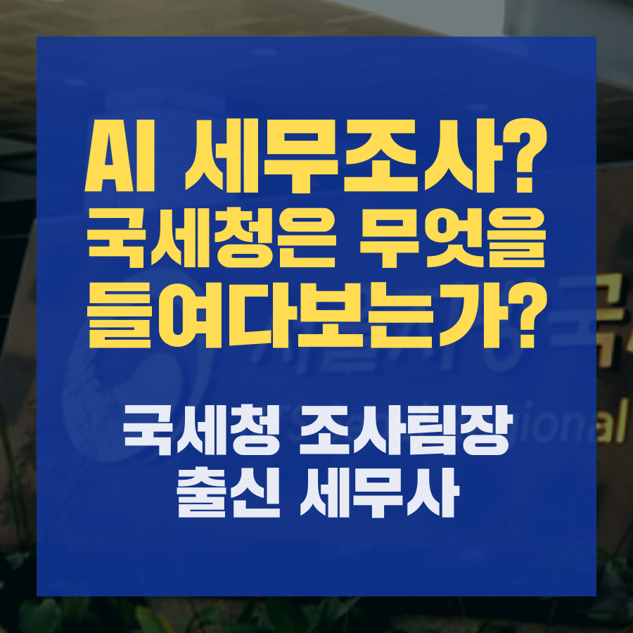 AI 세무조사 국세청은 무엇을 들여다보는가.png