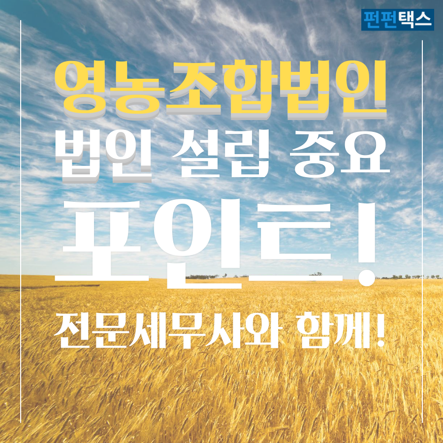 펀펀택스 배너들 (73).png