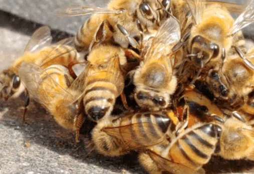 Screenshot 2025-07-19 at 17.18.23.png