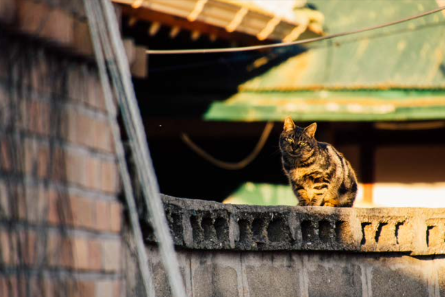 Screenshot 2025-11-27 at 23.20.18.png