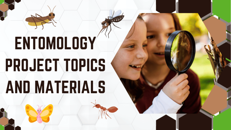Entomology-Project-Topics-And-Materials.png