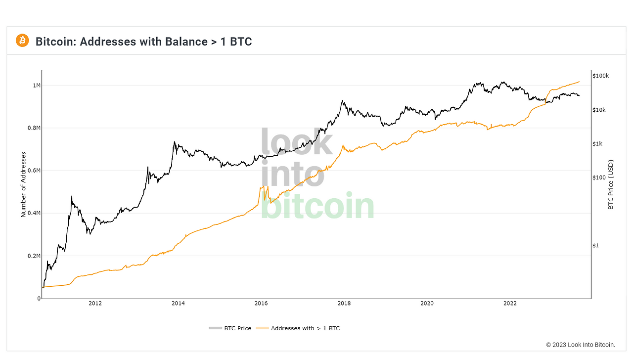 Look Into Bitcoin - Bitcoin Wallet Sizes _ 1 BTC.png
