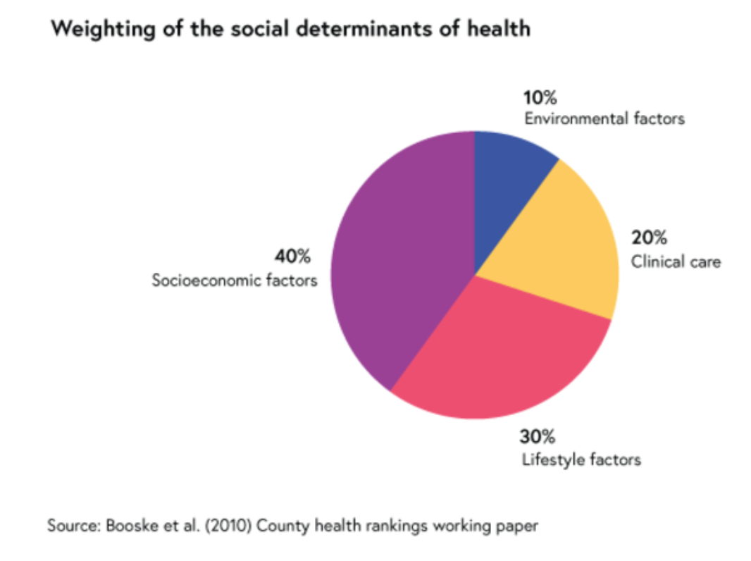 건강의 사회적결정요인 가중치.png