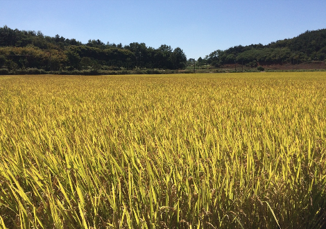 스크린샷 2019-08-24 오전 7.03.12.png