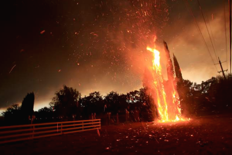 스크린샷 2019-04-06 오전 6.27.44.png