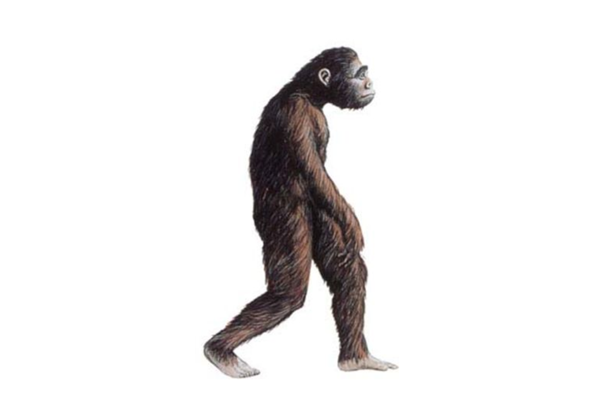 스크린샷 2020-01-30 오후 5.25.48.png