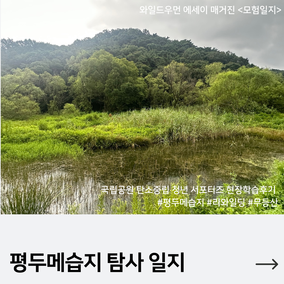 인스타그램 게시물 .png