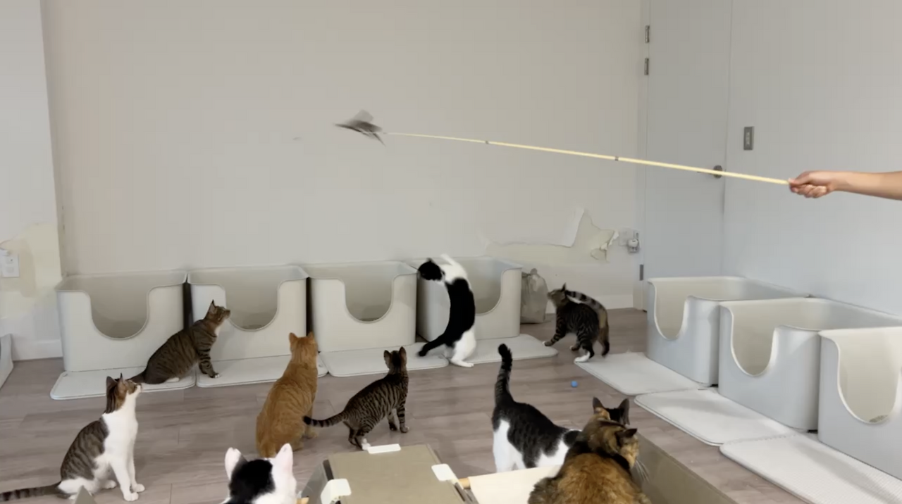 스크린샷 2024-05-23 오후 9.02.12.png