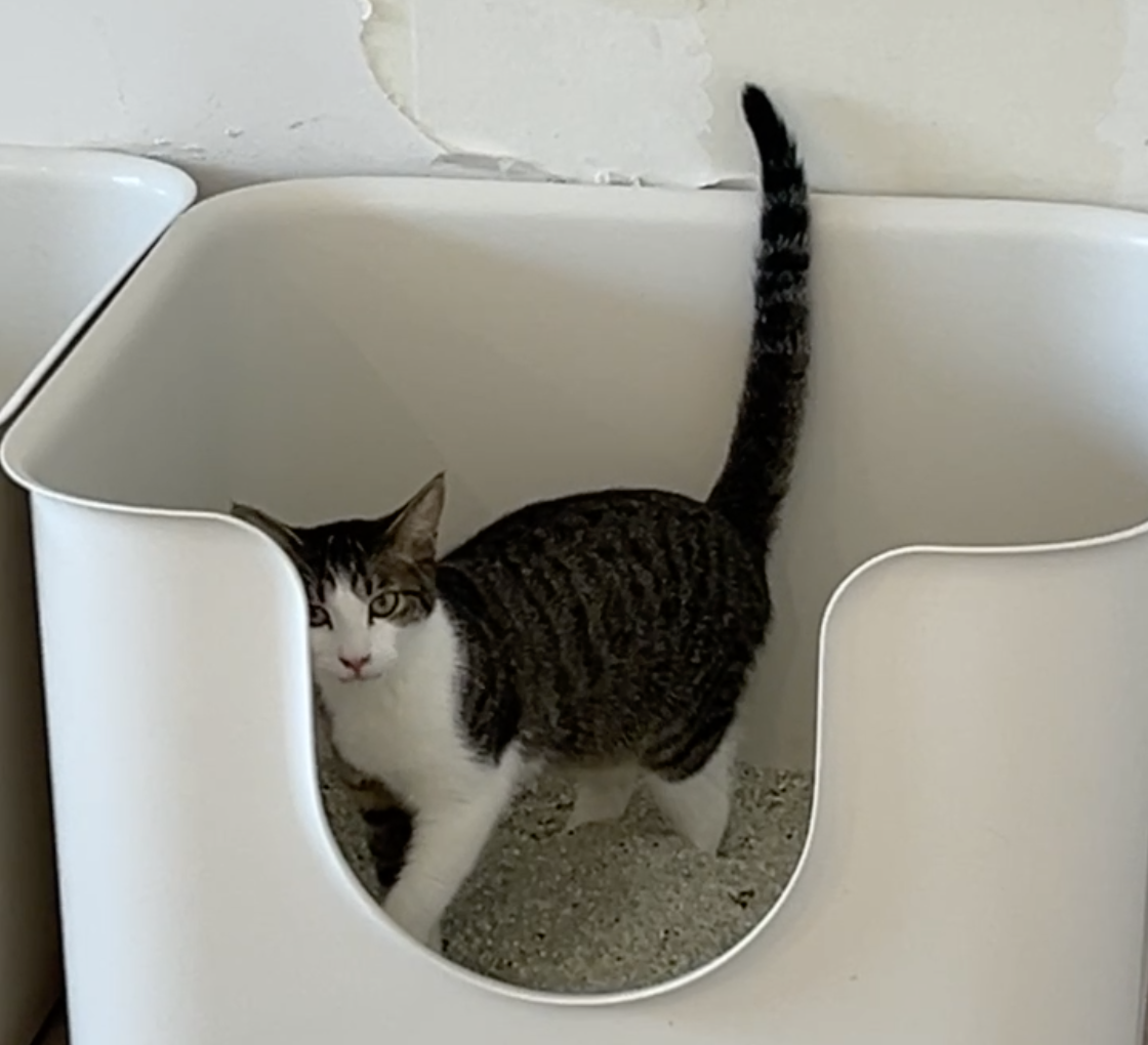 스크린샷 2024-09-09 21.32.40.png