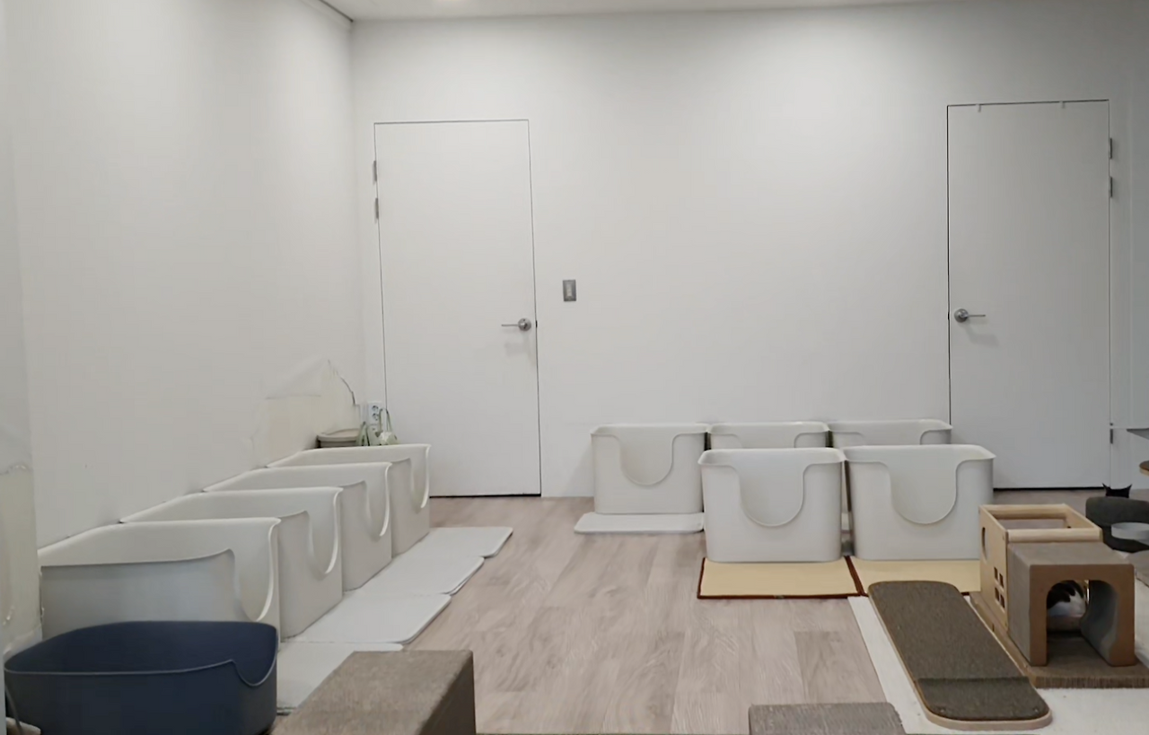 스크린샷 2024-05-16 오후 10.27.03.png