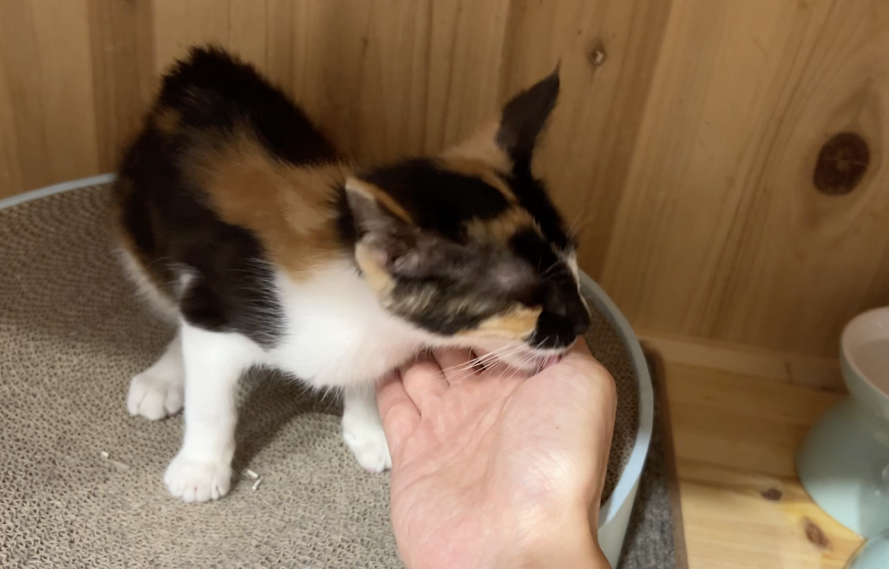 스크린샷 2024-07-15 오후 10.10.34.png