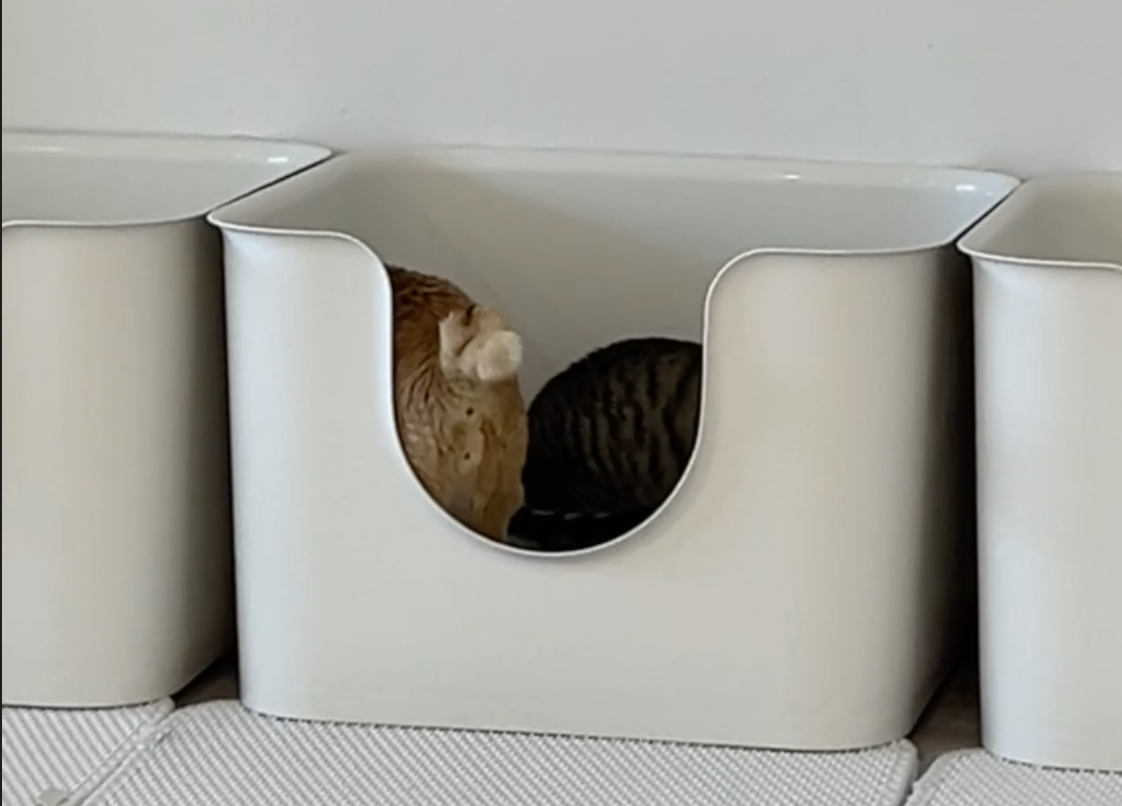 스크린샷 2024-09-09 21.34.30.png